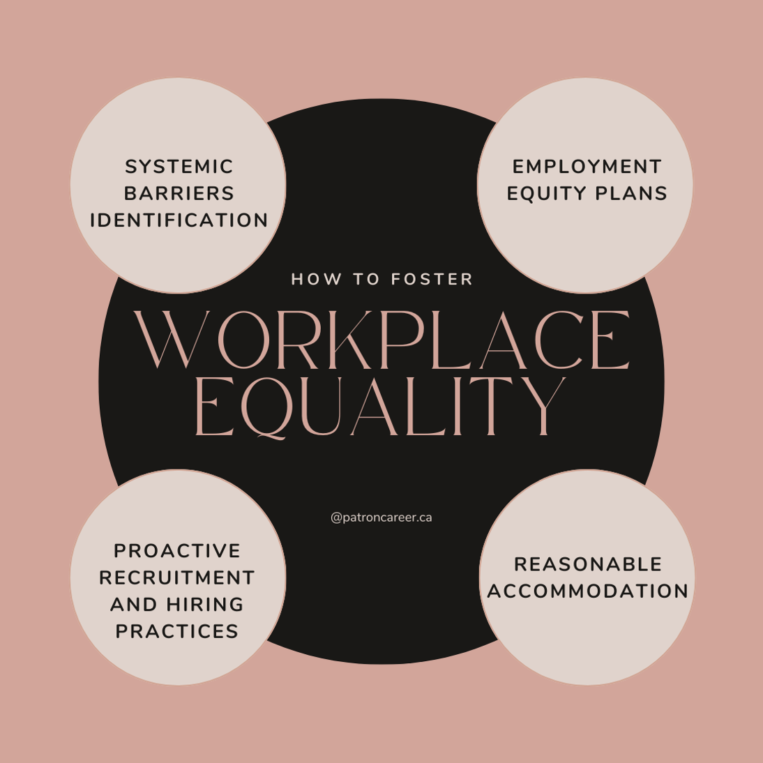 employment-equity-act-detail