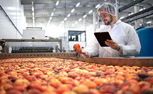 FOOD MANUFACTURING STAFFING SOLUTIONS in mississauga